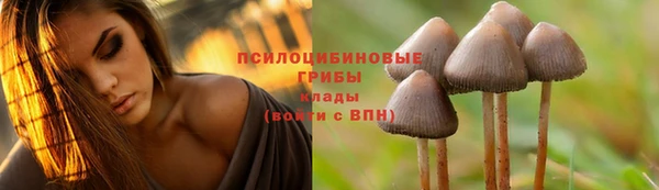 мдма Зеленокумск