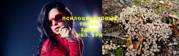 мдма Зеленокумск