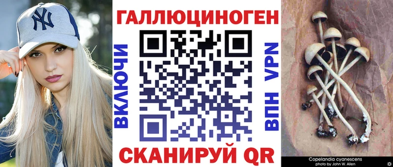 Псилоцибиновые грибы ЛСД  Купить закладки  Лахденпохья 